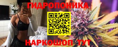 гидра Нарткала