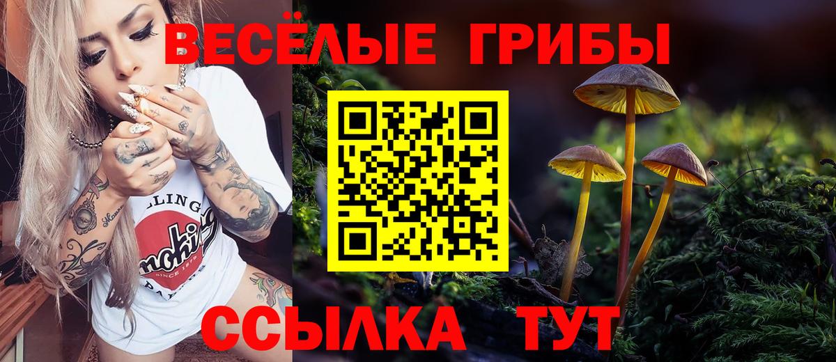 магазин    Галлюциногенные грибы Psilocybine cubensis  Славгород  Вход с VPN  Галлюциногенные грибы Psilocybine cubensis 