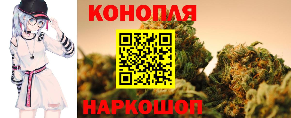 Канабис конопля Славгород